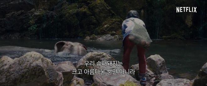 Bom tấn Okja tung trailer mới, hé lộ tạo hình của quái vật siêu đáng yêu (2)